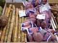 World Wind Inc. Home of Purple Sweeties Sweet Potato & Belle Eden Tropicals image 6