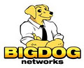 Big Dog Networks logo