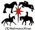 CK Performance Horses image 3