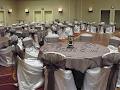 Chair Covers Plus image 2