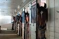 ClerView Stables Inc image 6