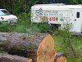 Cutting Edge Tree Service and Snow Removal image 2