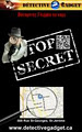 Detective Gadget image 2