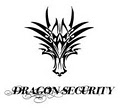 Dragon Security image 2