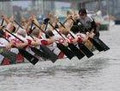 False Creek Racing Canoe Club image 1