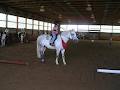 Golden Woods Riding School image 6