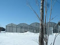 Les Serres Bio-Fruits Greenhouses image 2