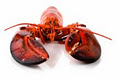 Lobster Affair Ltd. logo
