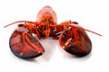 Lobster Affair Ltd. image 1