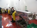 Minor Fisheries Ltd. - Processing Plant image 4