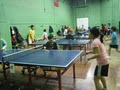 My Table Tennis Club image 1