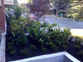 O'Reilly Landscaping image 6