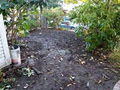 O'Reilly Landscaping image 1