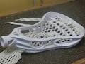 Pro Max Lacrosse image 6