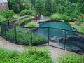 Protectachild Pool Fence Systems image 1