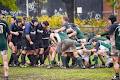 Rugby XV de Montréal image 2