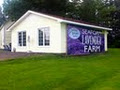 Seafoam Lavender Farm Ltd. image 3