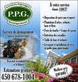 Services Paysagers P P G - Déneigement image 6