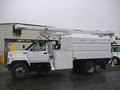 Skyline Tree Service image 2