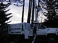 Skyline Tree Service image 4