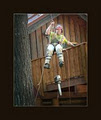 Skyline Tree Service image 1