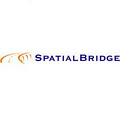 SpatialBridge image 2