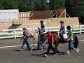 Therapeutic Riding Association Of Ottawa-Carleton Inc image 4