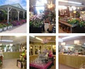 Van Belle Flowers & Garden Centre - Courtice, Bowmanville Location image 4