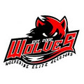 Wolverine Elite All Stars logo