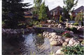 Zilmont Landscaping and Property Maintenance image 3