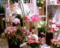 montreal florist image 3