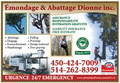 Émondage Et Abattage Dionne Inc logo