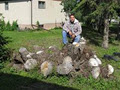 - Got Stump? - Stump Grinding / Stump Removal Edmonton Alberta image 2