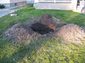 - Got Stump? - Stump Grinding / Stump Removal Edmonton Alberta image 4