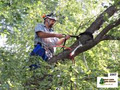 Andy's Great Lakes Tree Service image 1