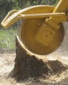 Andy's Tree Service & Stump Grinding Abbotsford image 3