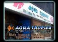 Aqua Tropics image 2