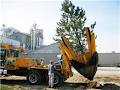 Arrow Tree Movers & Suppliers image 5