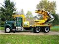 Arrow Tree Movers & Suppliers image 6