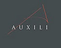 Auxili Design image 2