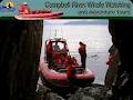 Campbell River Whale Watching & Adventure Tours image 2