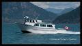 Cormorant Marine Water Taxi image 3