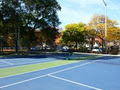Davisville Tennis Club image 3