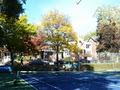 Davisville Tennis Club image 4