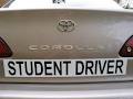 Drive Smart Driving School logo