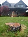 Dynamic Stump Grinding Inc. image 5