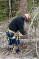 Executive Tree Care logo