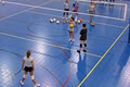 Flex Court Toronto Basketball Courts image 5
