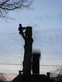 Green Crown Arborworks - Tree Care & Consulting image 2