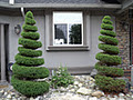 Hill Country Tree Service image 4